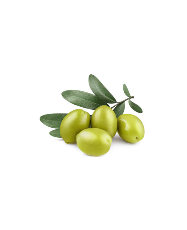 olive-isidoro